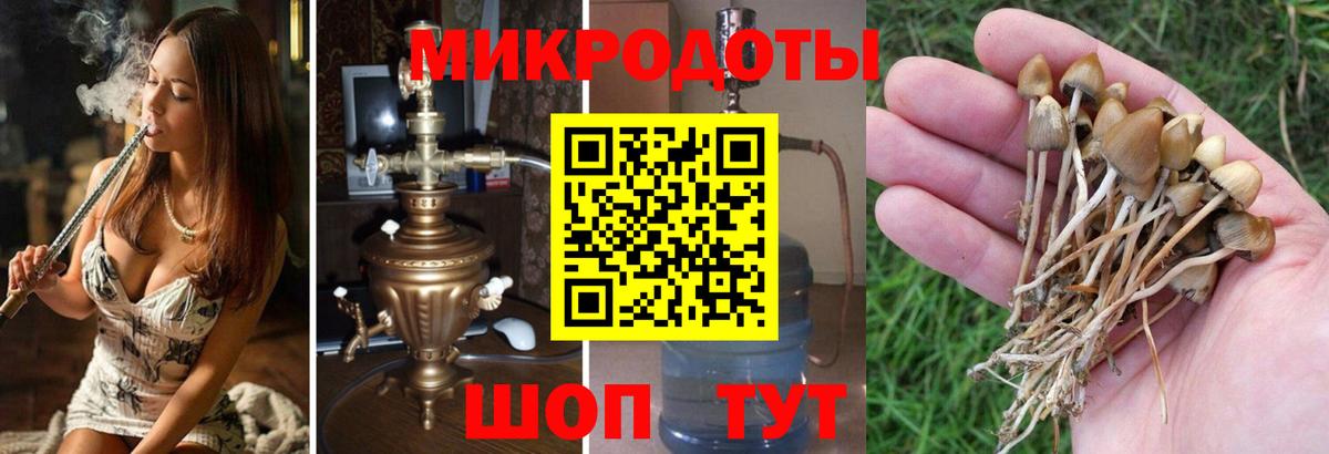 Галлюциногенные грибы мухоморы Чита